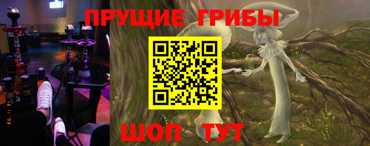 Вязьма  Псилоцибиновые грибы мухоморы  Вход с VPN 